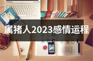 属猪人2025感情运程