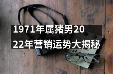 1971年属猪男2025年营销运势大揭秘