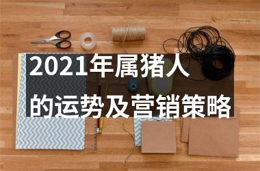 2025年属猪人的运势及营销策略
