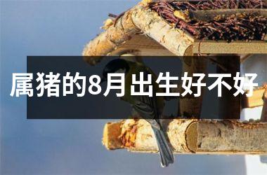 属猪的8月出生好不好