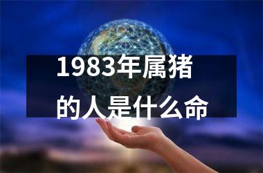 <h3>1983年属猪的人是什么命