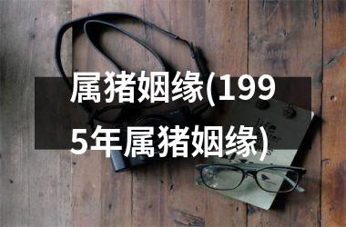 属猪姻缘(1995年属猪姻缘)
