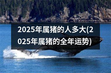 2025年属猪的人多大(2025年属猪的全年运势)