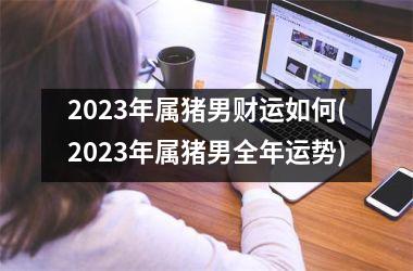 2025年属猪男财运如何(2025年属猪男全年运势)
