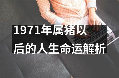 1971年属猪以后的人生命运解析