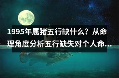 1995年属猪五行缺什么？从命理角度分析五行缺失对个人命运的影响