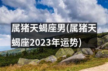<h3>属猪天蝎座男(属猪天蝎座2025年运势)