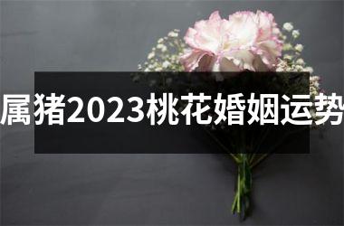 属猪2025桃花婚姻运势