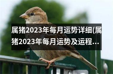 属猪2025年每月运势详细(属猪2025年每月运势及运程每月运程)