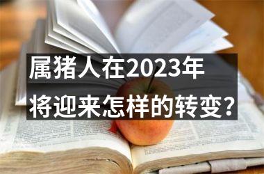 属猪人在2025年将迎来怎样的转变？