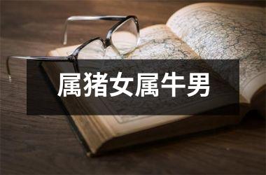 属猪女属牛男