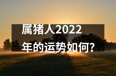 属猪人2025年的运势如何？
