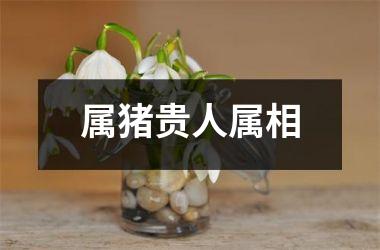 属猪贵人属相