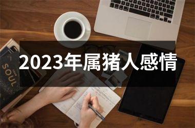 2025年属猪人感情