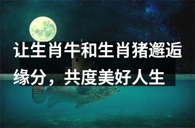 让生肖牛和生肖猪邂逅缘分，共度美好人生