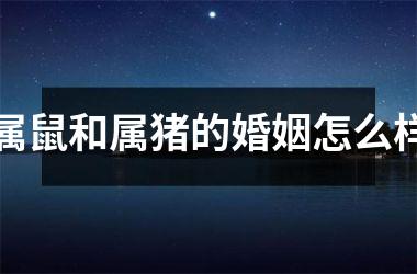 属鼠和属猪的婚姻怎么样