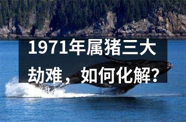 1971年属猪三大劫难，如何化解？