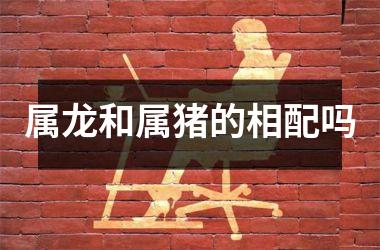 属龙和属猪的相配吗