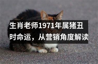 生肖老师1971年属猪丑时命运，从营销角度解读