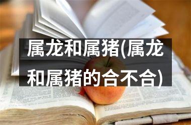 属龙和属猪(属龙和属猪的合不合)