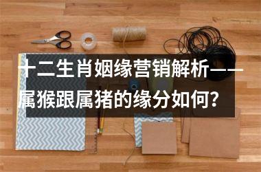 十二生肖姻缘营销解析——属猴跟属猪的缘分如何？