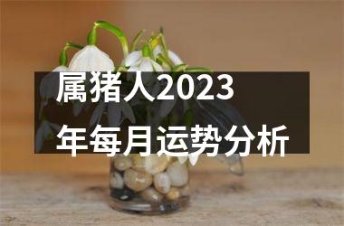 属猪人2025年每月运势分析