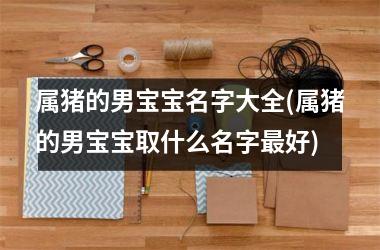 属猪的男宝宝名字大全(属猪的男宝宝取什么名字好)