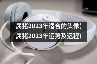 属猪2025年适合的头像(属猪2025年运势及运程)