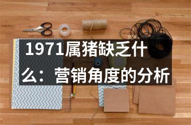  1971属猪缺乏什么：营销角度的分析