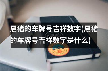 属猪的车牌号吉祥数字(属猪的车牌号吉祥数字是什么)