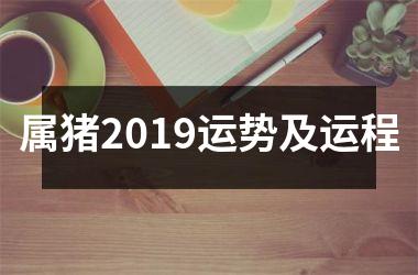 属猪2019运势及运程