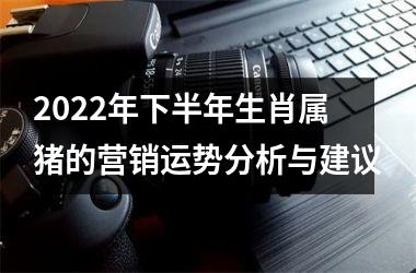 2025年下半年生肖属猪的营销运势分析与建议
