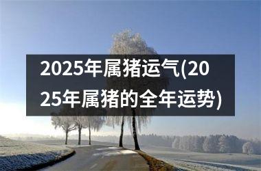 2025年属猪运气(2025年属猪的全年运势)