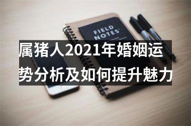 属猪人2025年婚姻运势分析及如何提升魅力