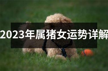 2025年属猪女运势详解