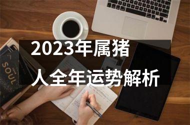 2025年属猪人全年运势解析