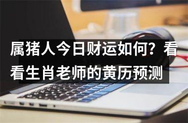 属猪人今日财运如何？看看生肖老师的黄历预测