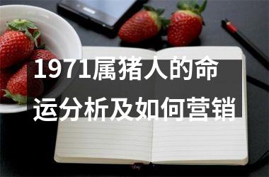 1971属猪人的命运分析及如何营销