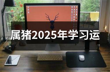 属猪2025年学习运