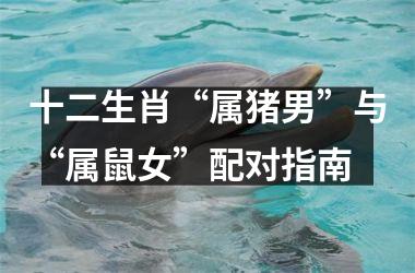 十二生肖“属猪男”与“属鼠女”配对指南