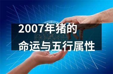 2007年猪的命运与五行属性