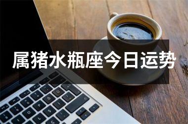 属猪水瓶座今日运势