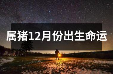 属猪12月份出生命运
