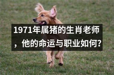 1971年属猪的生肖老师，他的命运与职业如何？