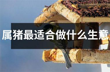 属猪适合做什么生意