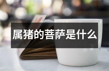 属猪的菩萨是什么