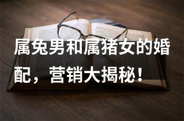 属兔男和属猪女的婚配，营销大揭秘！