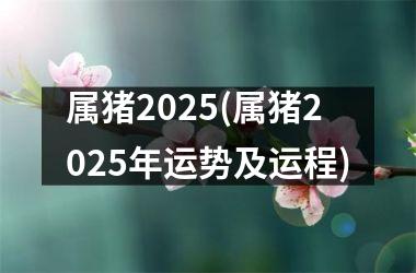 属猪2025(属猪2025年运势及运程)