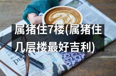 属猪住7楼(属猪住几层楼好吉利)