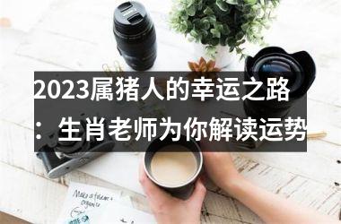 2025属猪人的幸运之路：生肖老师为你解读运势